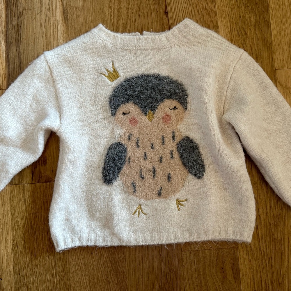 Zara girls sweater